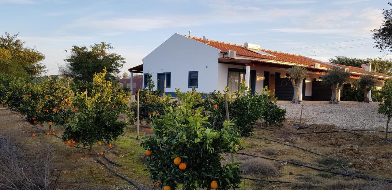 Trendy And Luxe Bed & Breakfast Ferreira Do Alentejo Exterior foto